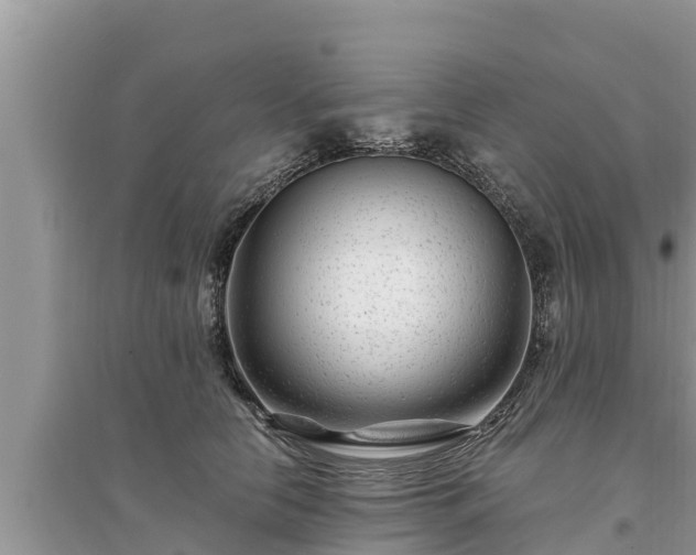 X0000095540658200712211349