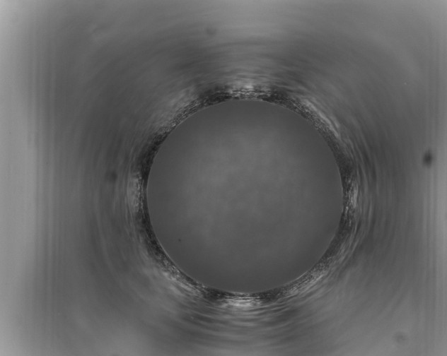 X0000095540659200712211349