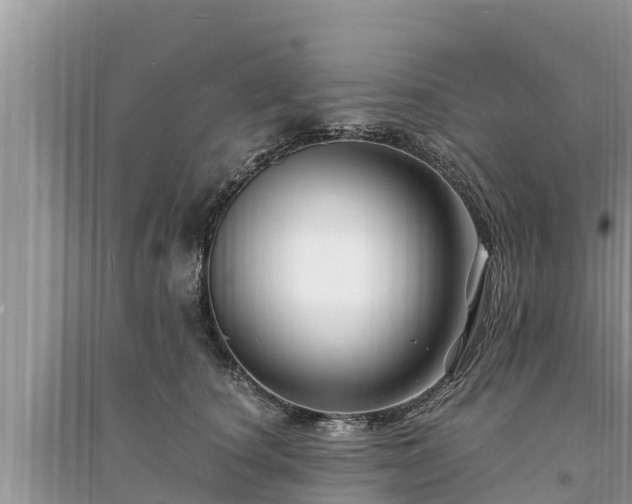 X0000095540660200712211349