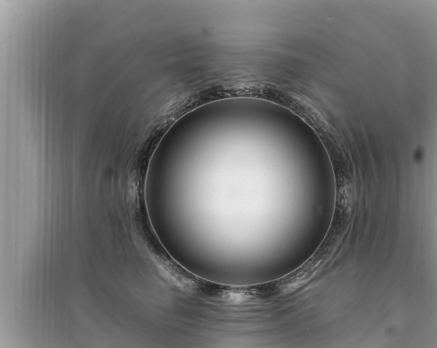 X0000095540662200712211349