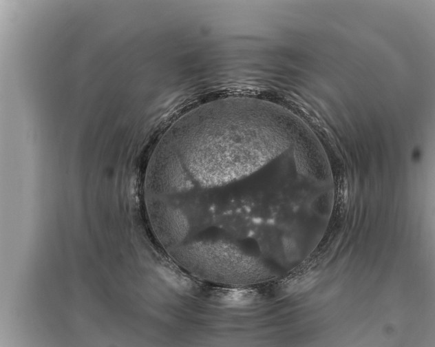 X0000095540663200712211349