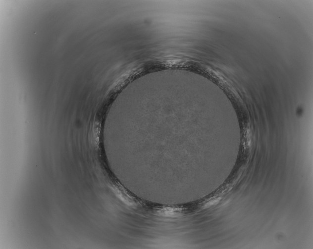 X0000095540664200712211349