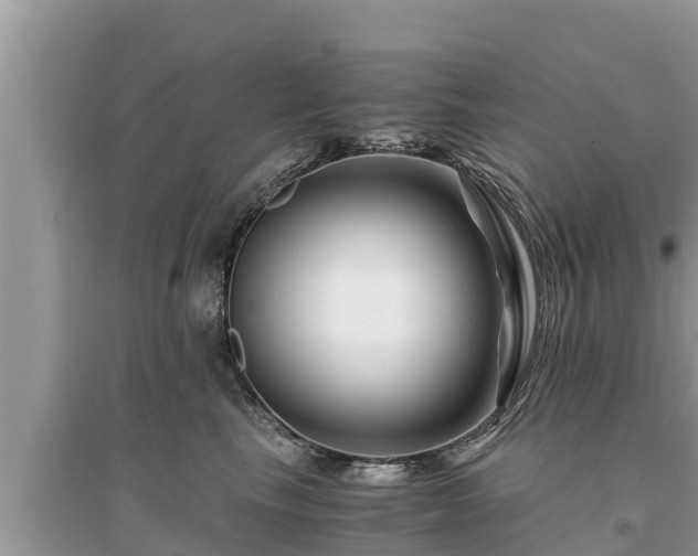 X0000095540665200712211349