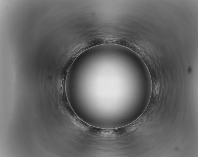 X0000095540666200712211349