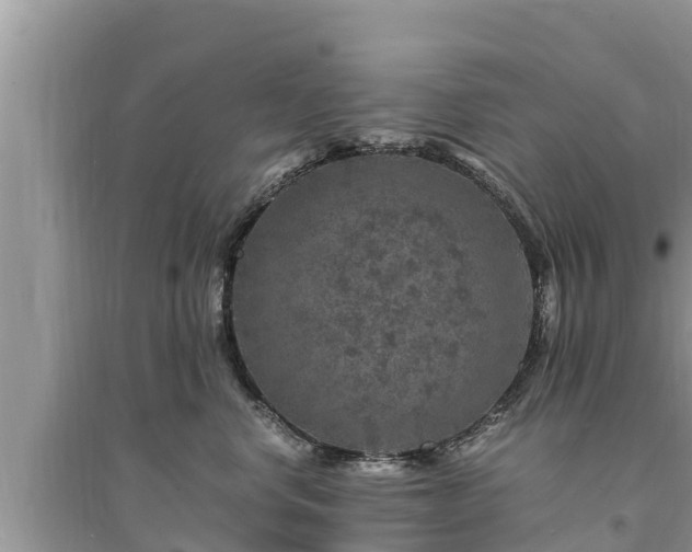 X0000095540668200712211349