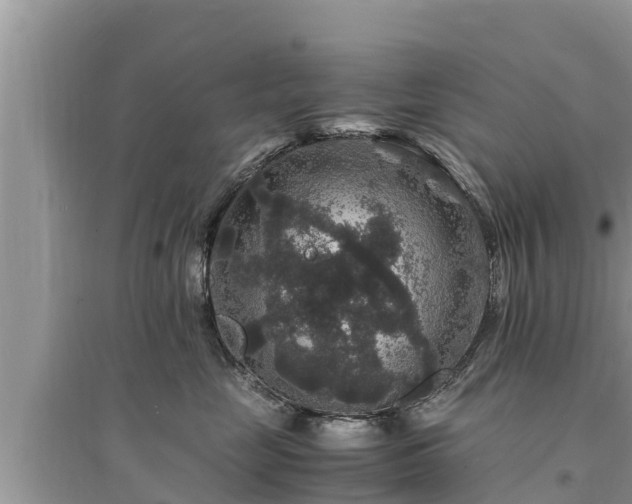 X0000095540669200712211349