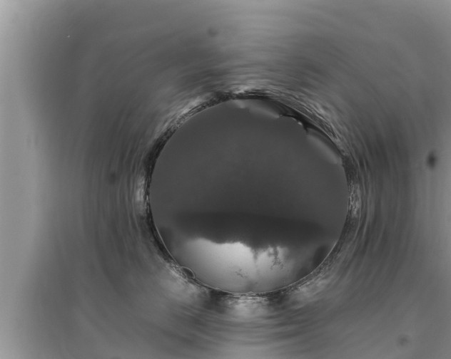 X0000095540670200712211349