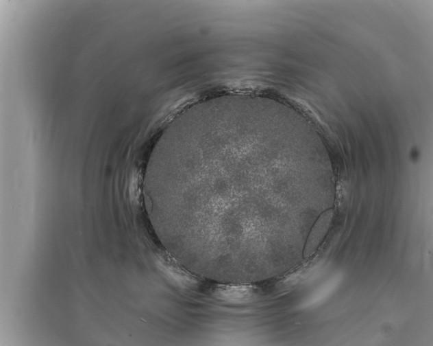 X0000095540671200712211349