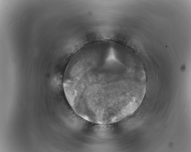 X0000095540672200712211349