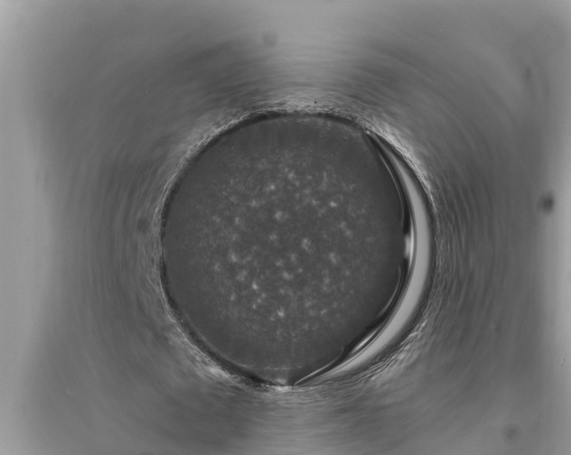 X0000095540673200712211348