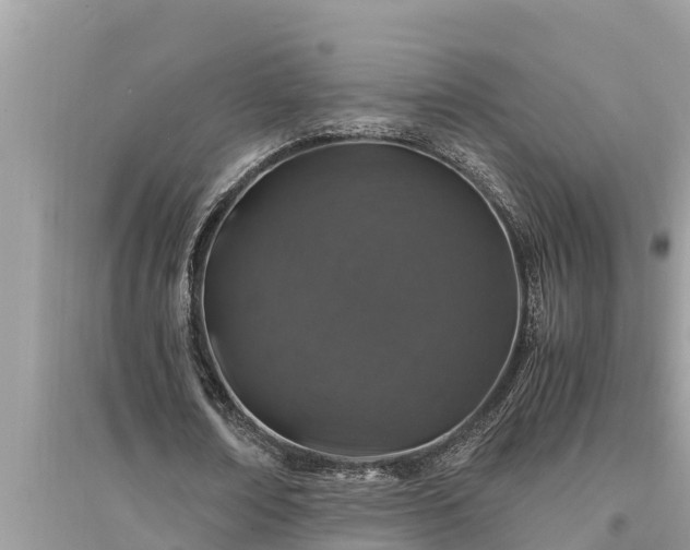 X0000095540674200712211348