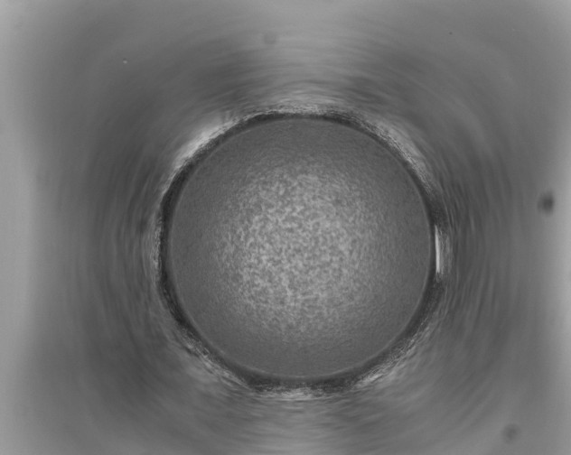 X0000095540675200712211348