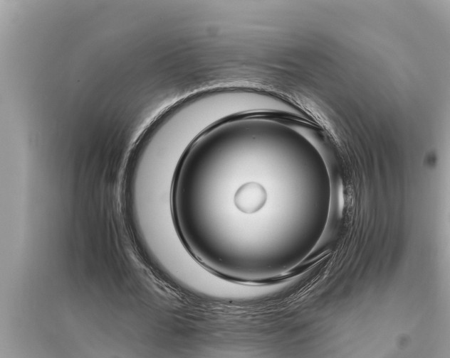 X0000095540676200712211348