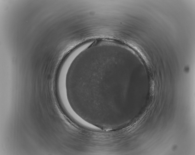 X0000095540677200712211348