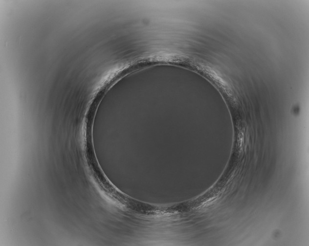 X0000095540678200712211348