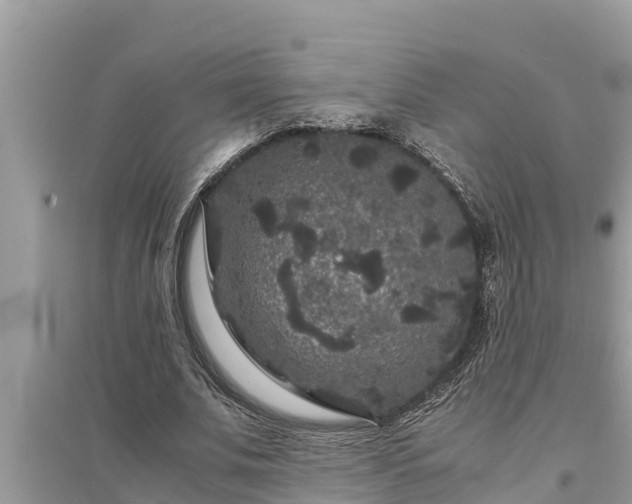 X0000095540679200712211348