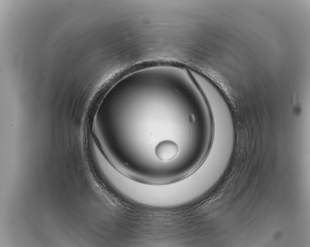 X0000095540680200712211348