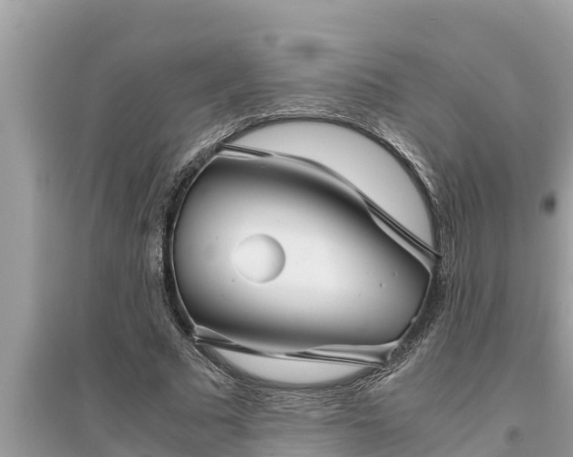 X0000095540681200712211348