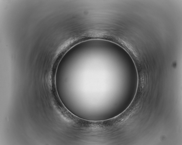 X0000095540682200712211348