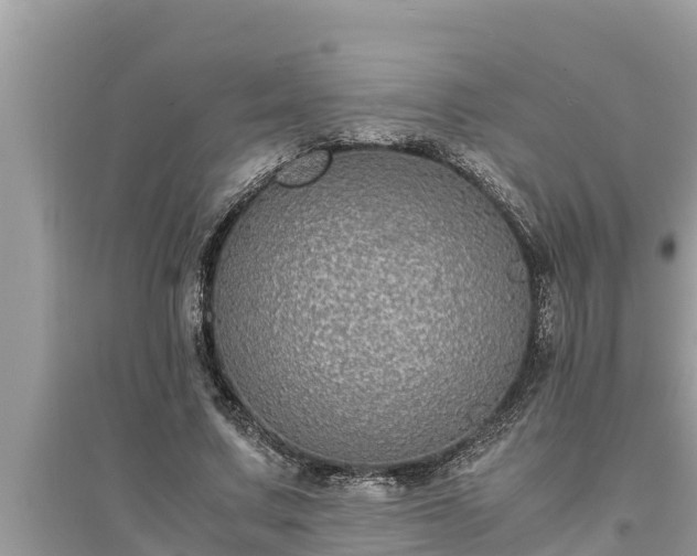 X0000095540683200712211348