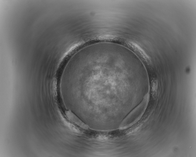 X0000095540684200712211348