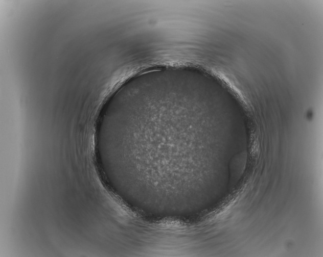 X0000095540685200712211348