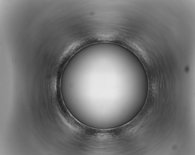 X0000095540686200712211348