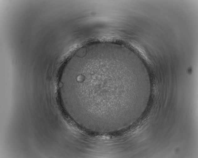 X0000095540687200712211348