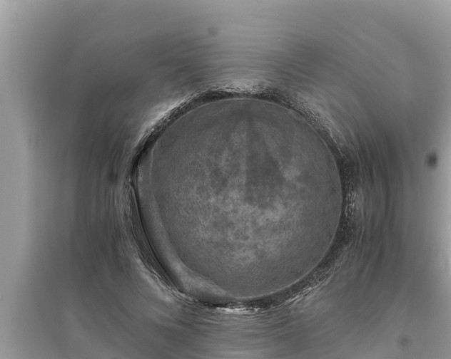 X0000095540688200712211348