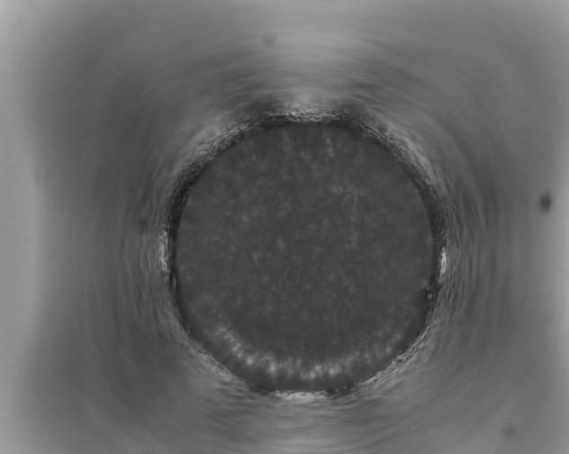 X0000095540689200712211348