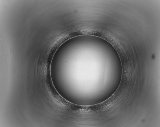 X0000095540690200712211348