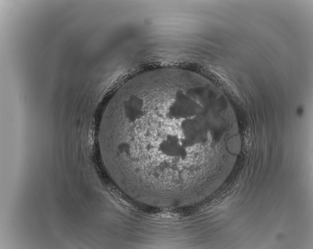 X0000095540691200712211348