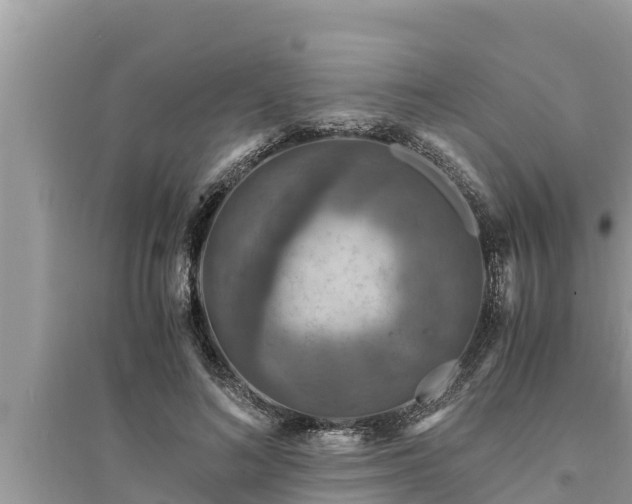 X0000095540692200712211348