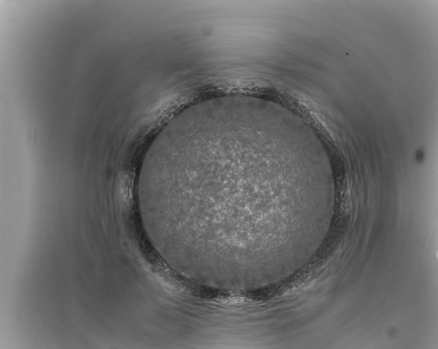 X0000095540695200712211348