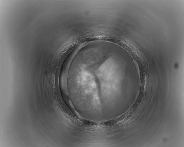 X0000095540696200712211348