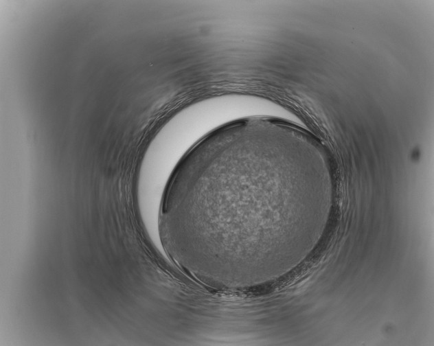 X0000095540697200712211348