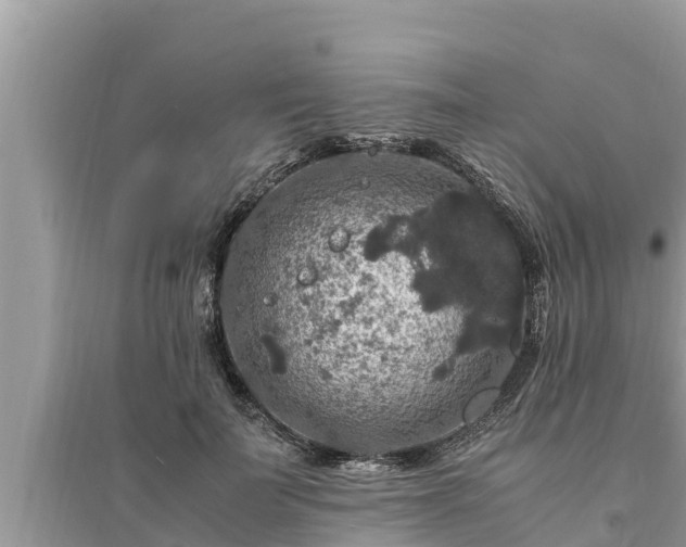 X0000095540699200712211348