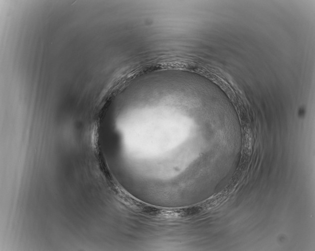 X0000095540701200712211348