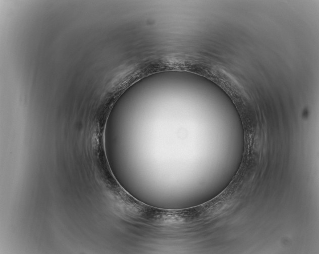 X0000095540702200712211348