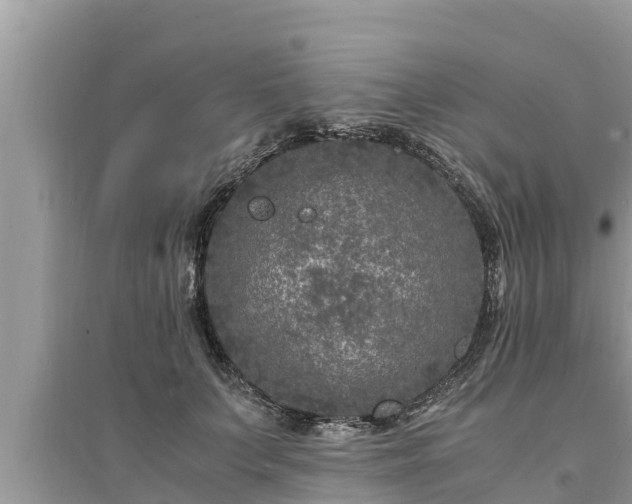 X0000095540703200712211348