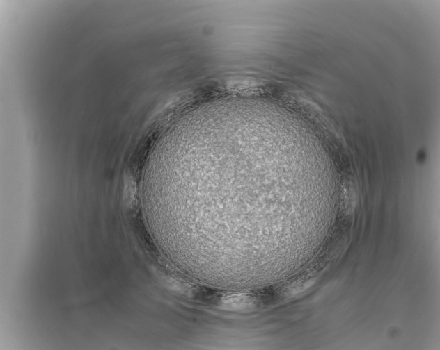 X0000095540705200712211348