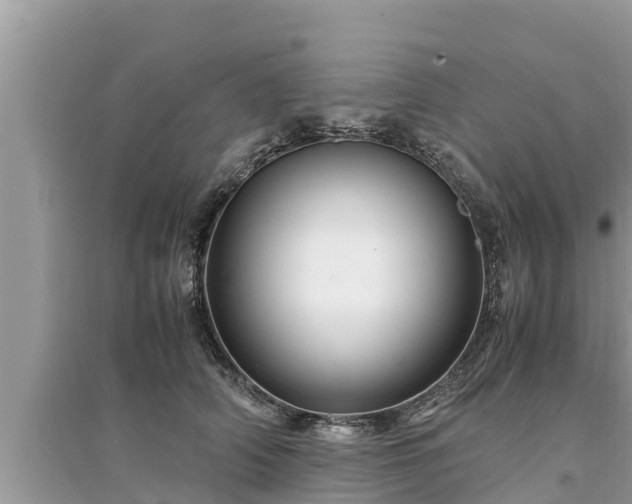 X0000095540706200712211347