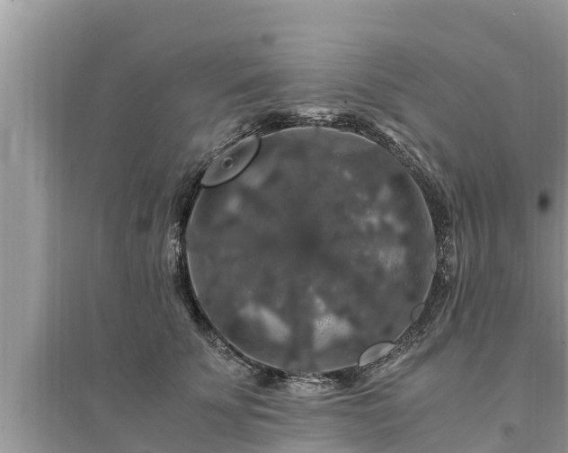 X0000095540707200712211347