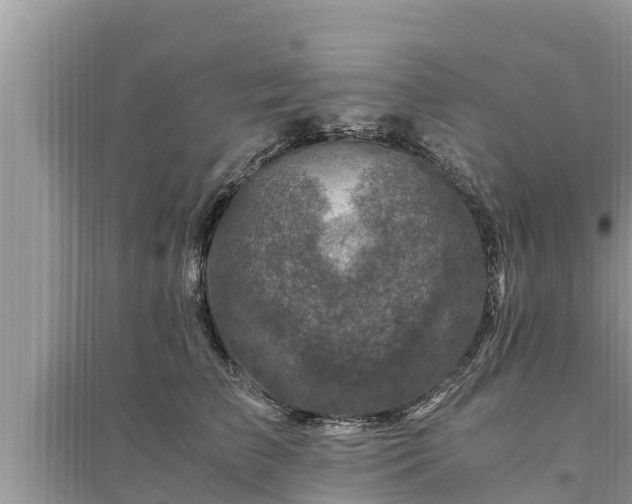 X0000095540709200712211347