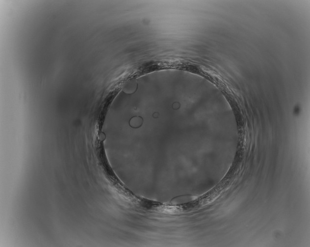 X0000095540711200712211347