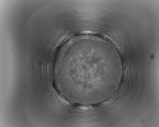 X0000095540712200712211347