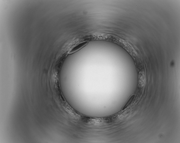 X0000095540713200712211347