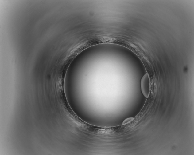 X0000095540714200712211347