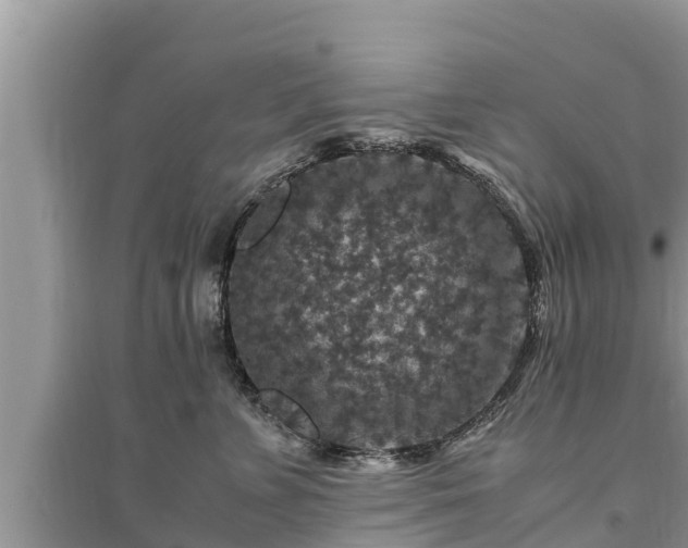 X0000095540715200712211347