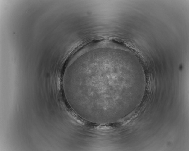 X0000095540716200712211347